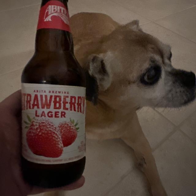 Strawberry Lager - Abita Beer