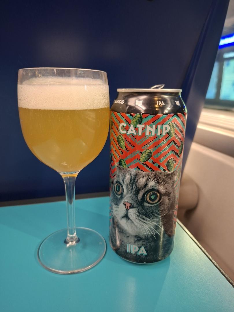 Check-in foto: Catnip