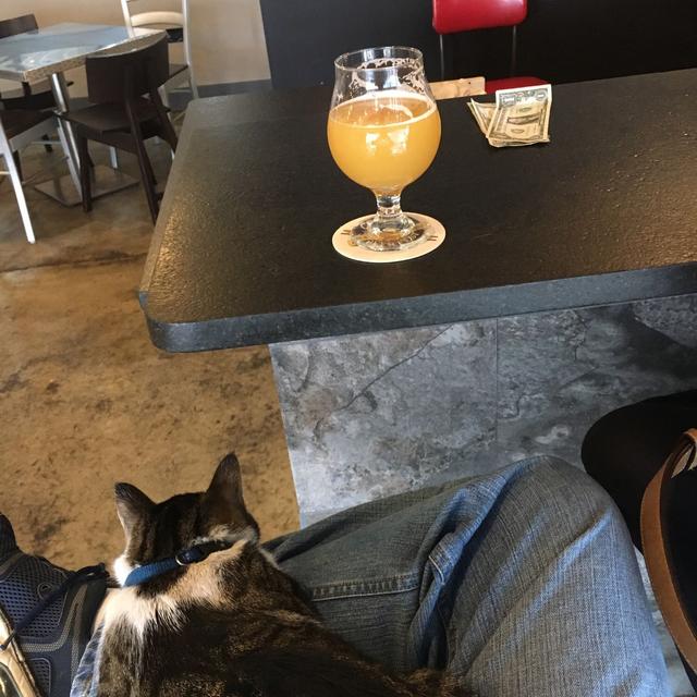Recent check-in photo 4