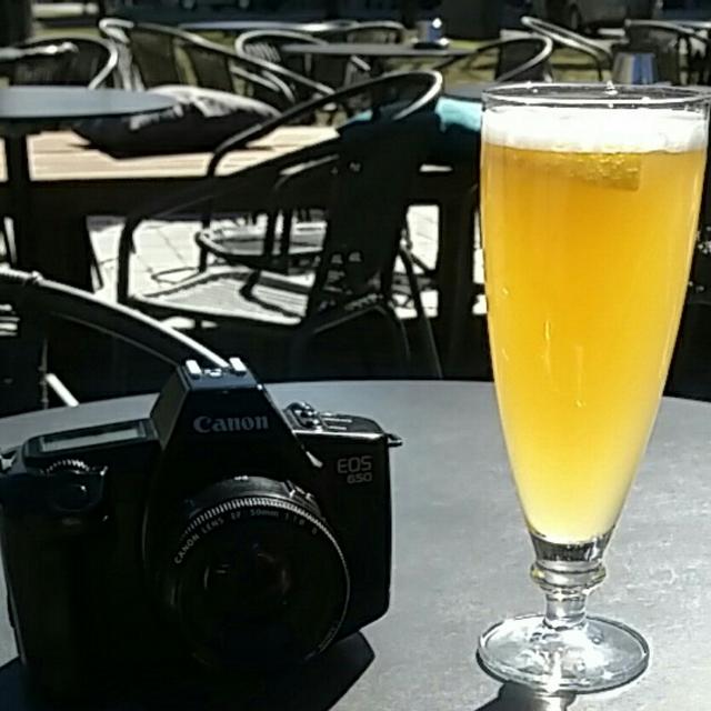 Recent check-in photo 4