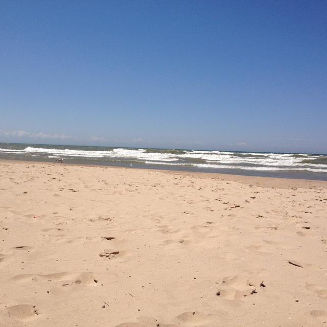 Recent check-in photo 3