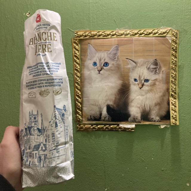 Recent check-in photo 2