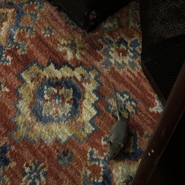 Recent check-in photo 1