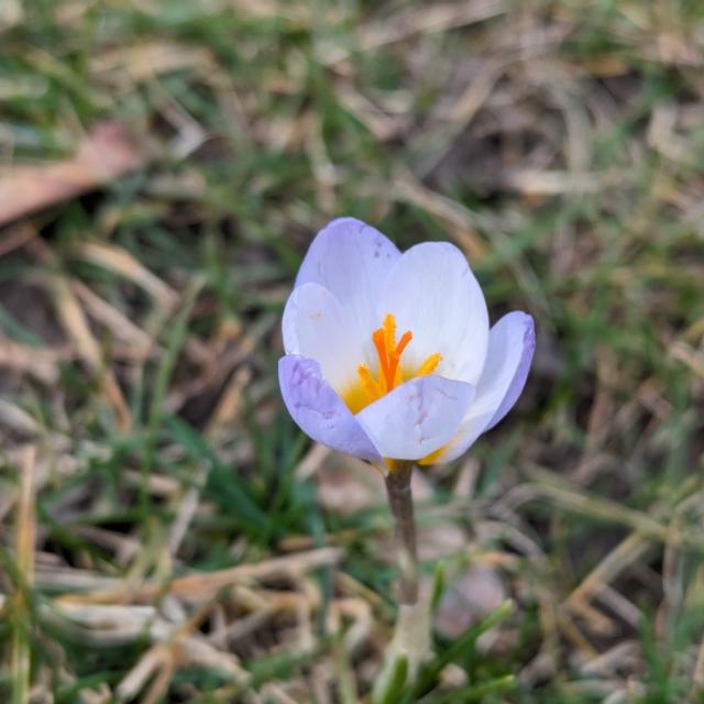 See all photos