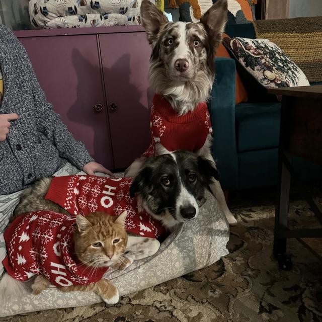 Recent check-in photo 5