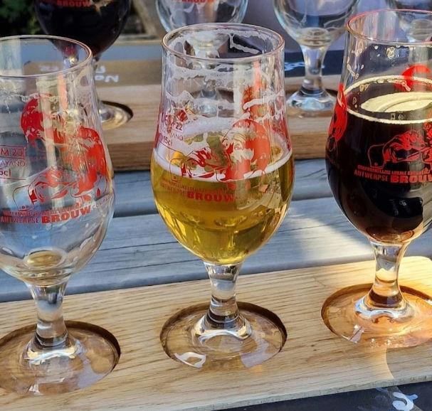 Recent check-in photo 3