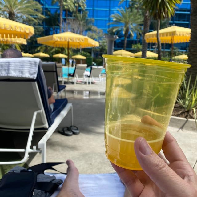 Recent check-in photo 1