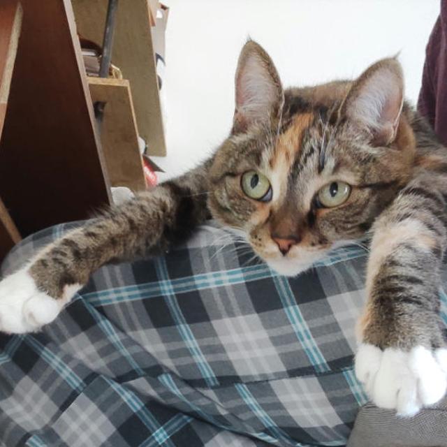 Recent check-in photo 1