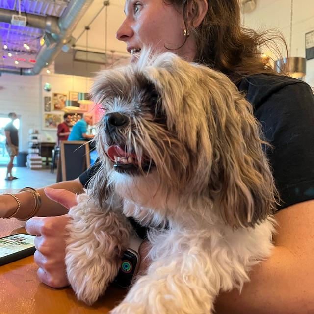 Recent check-in photo 4