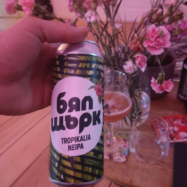 Photo (c) NickdeKleine