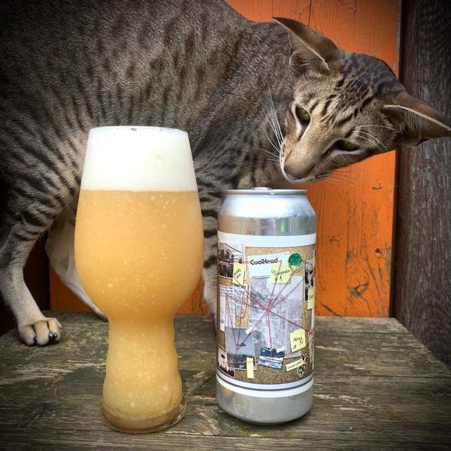 Recent check-in photo 6