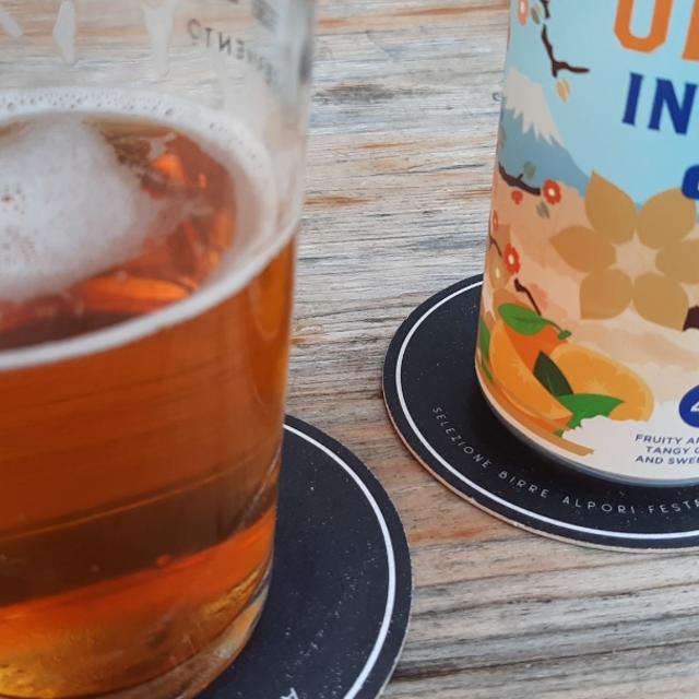 Recent check-in photo 6