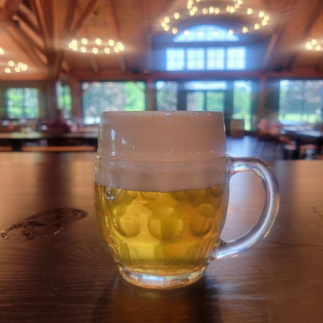 Recent check-in photo 1