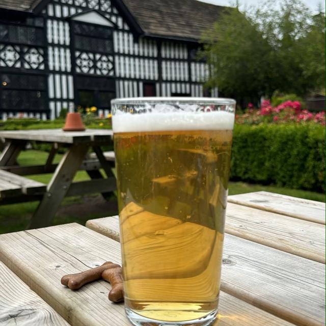 Recent check-in photo 3