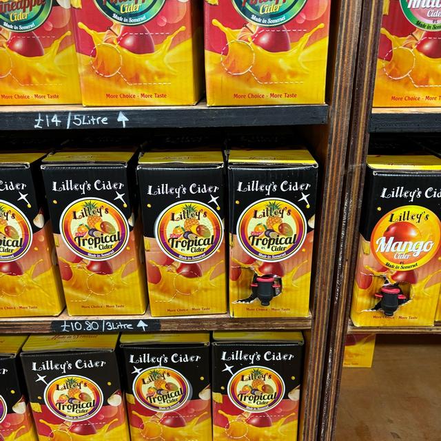 Recent check-in photo 3