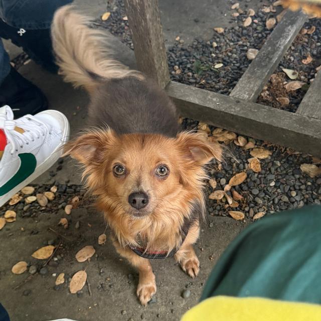 Recent check-in photo 2