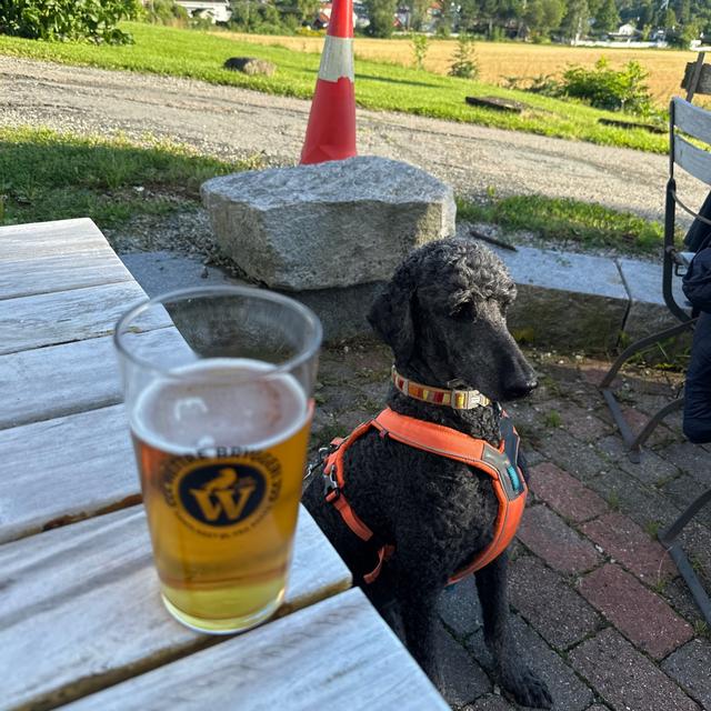 Recent check-in photo 2