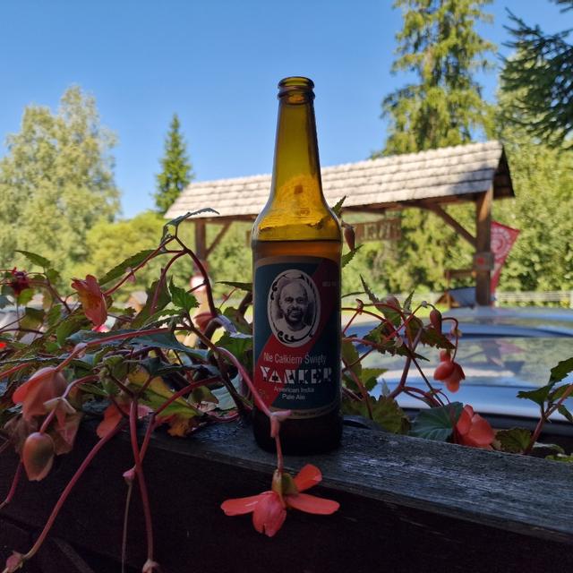 Recent check-in photo 3