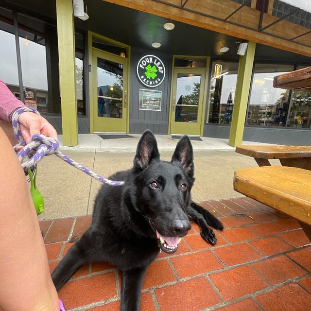 Recent check-in photo 1