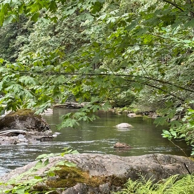 Recent check-in photo 2