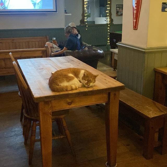 Recent check-in photo 3