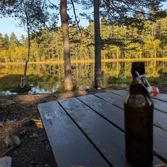 Recent check-in photo 4