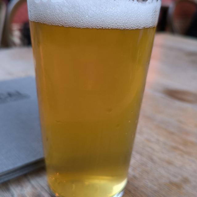 Recent check-in photo 6