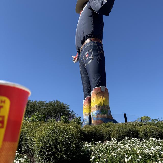 Recent check-in photo 1