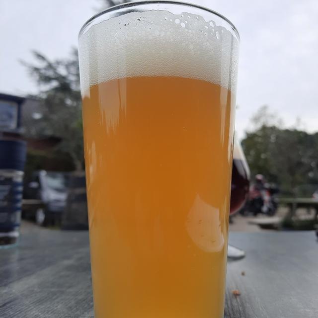 Recent check-in photo 6