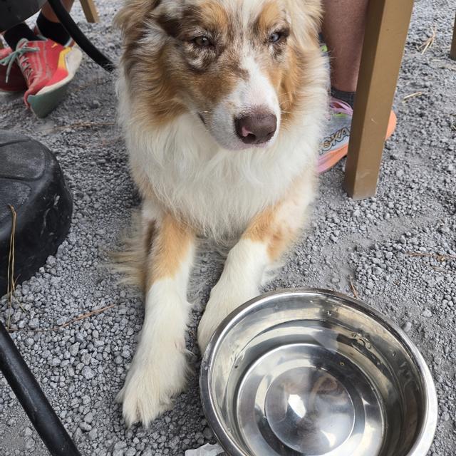 Recent check-in photo 4