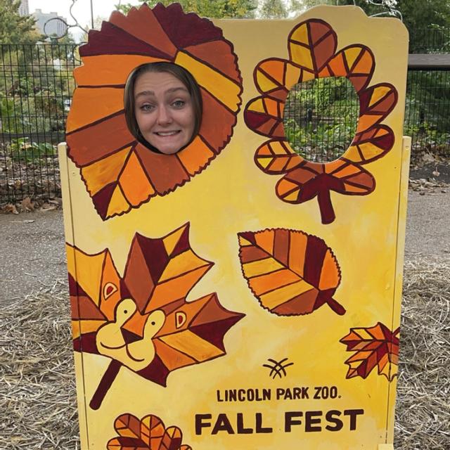 Recent check-in photo 2