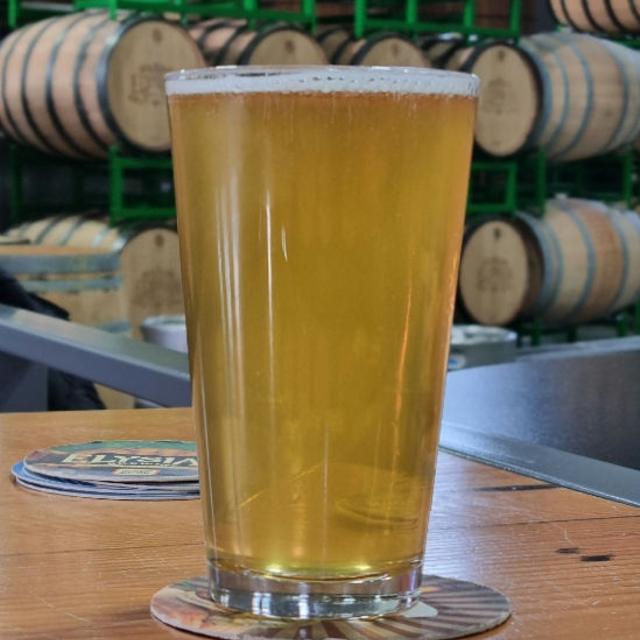 Recent check-in photo 6