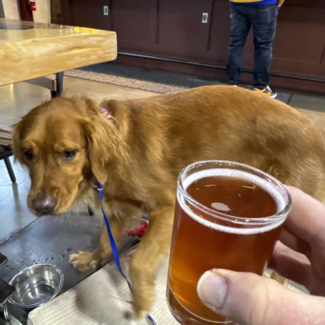 Recent check-in photo 2