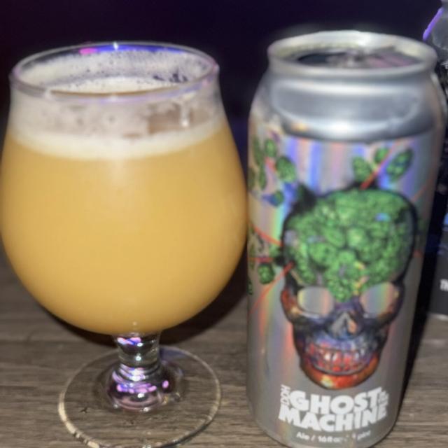 Recent check-in photo 1