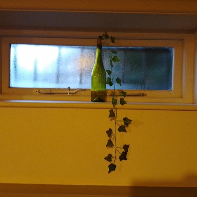 Recent check-in photo 6