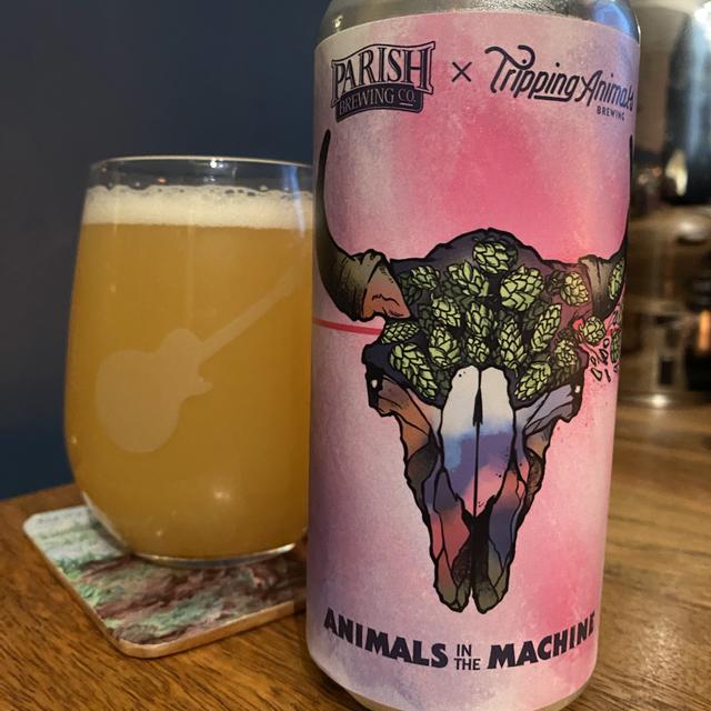 Recent check-in photo 3