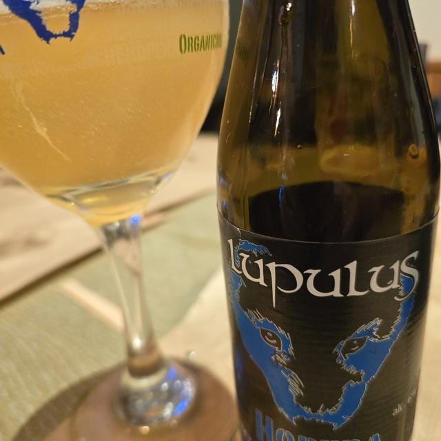 Recent check-in photo 5