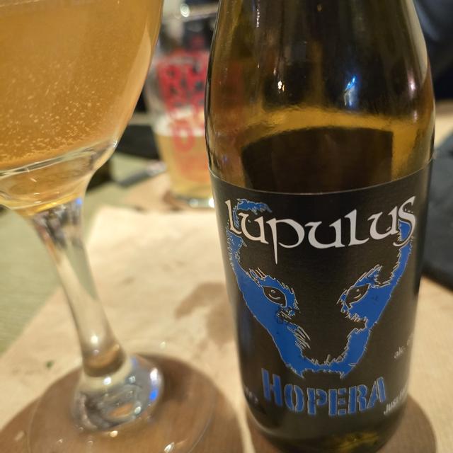 Recent check-in photo 6