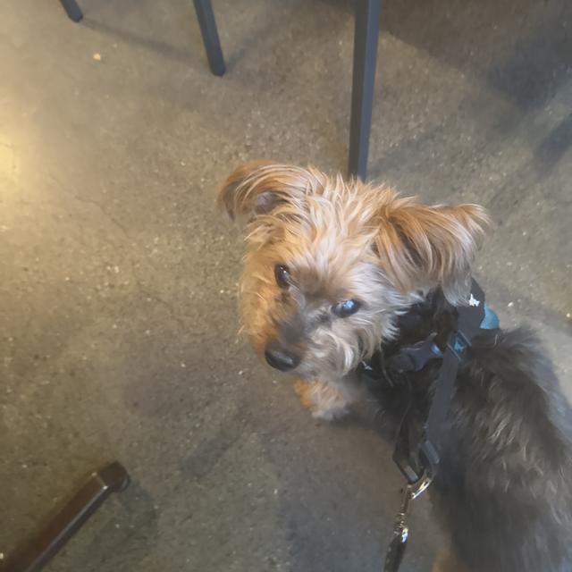 Recent check-in photo 1