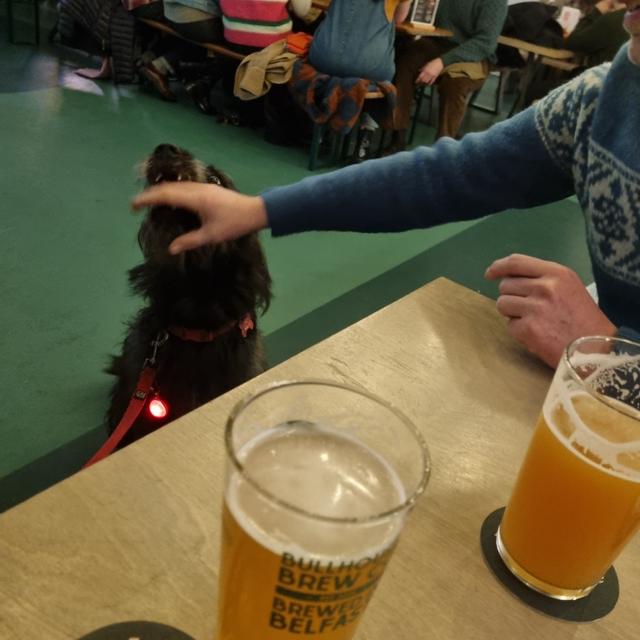 Recent check-in photo 4