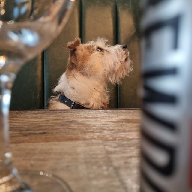 Recent check-in photo 3