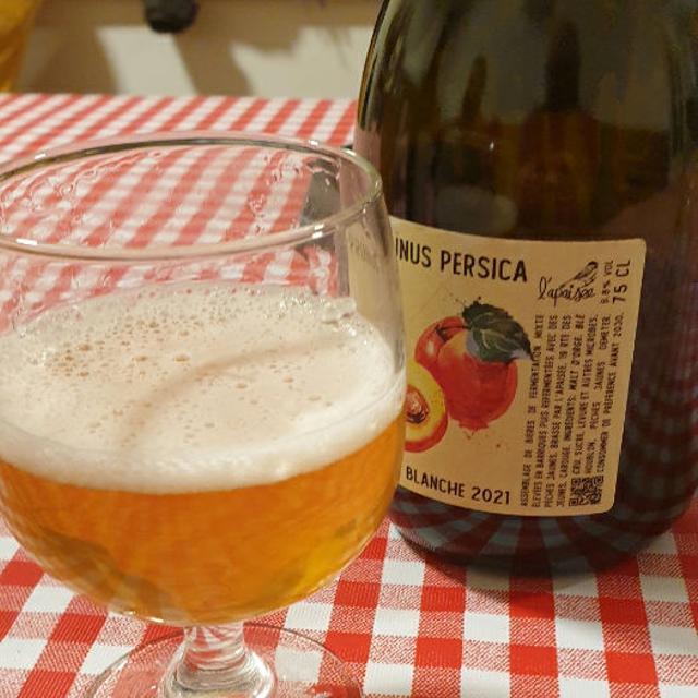 Recent check-in photo 6