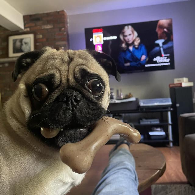 Recent check-in photo 2