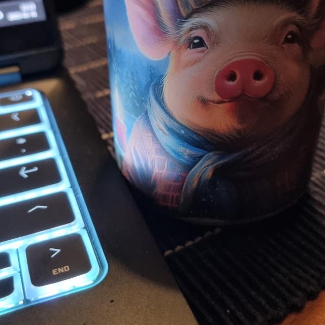 Recent check-in photo 3