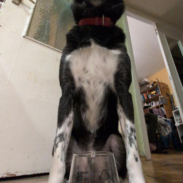 Recent check-in photo 3