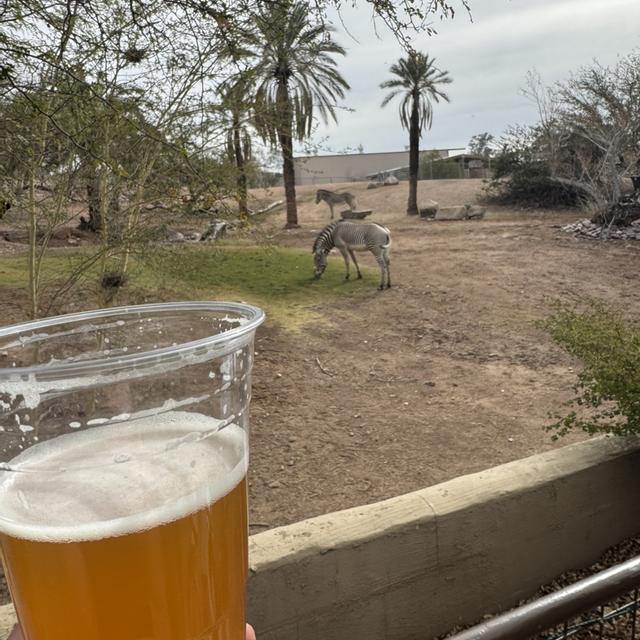Recent check-in photo 3