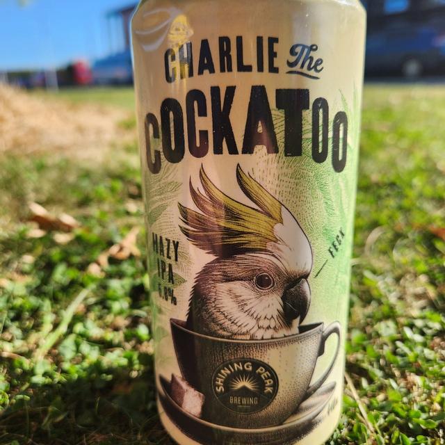 Recent check-in photo 5