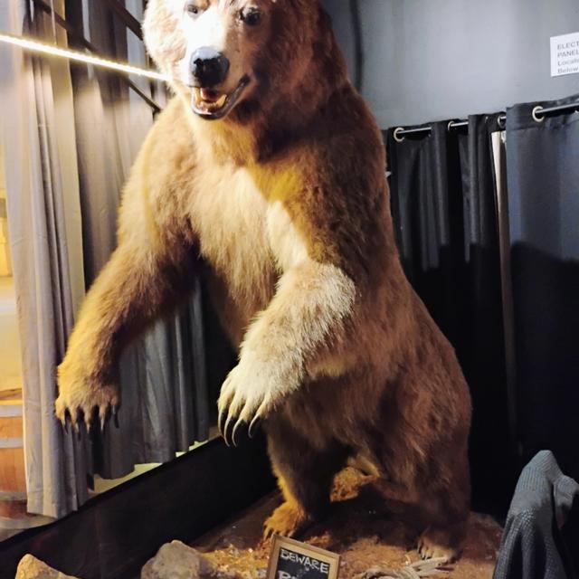 Recent check-in photo 2