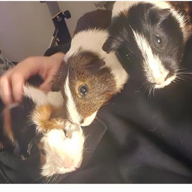 Recent check-in photo 3