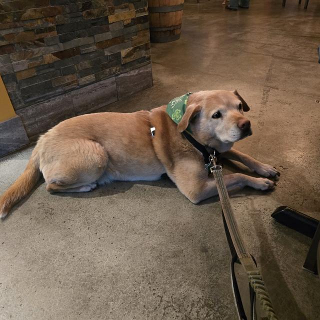 Recent check-in photo 4